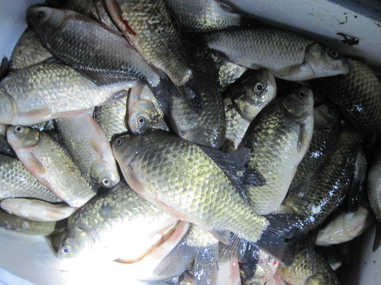 推薦蔬菜配送平臺(tái)哪家好用