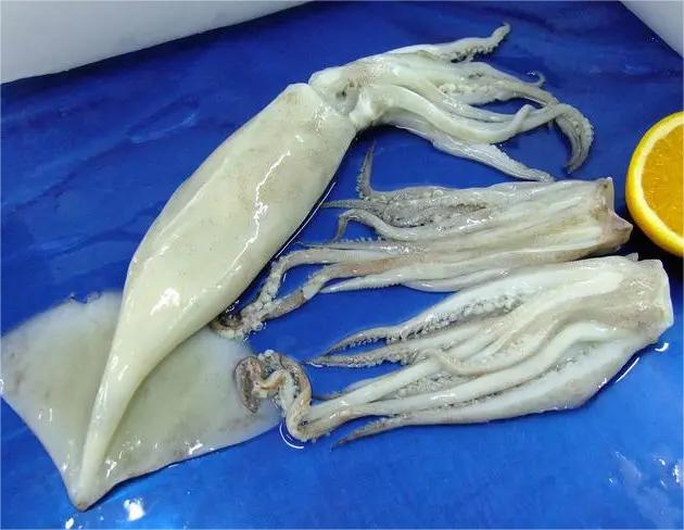 推薦蔬菜配送平臺(tái)哪個(gè)好