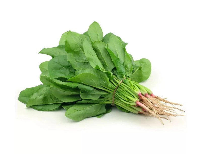 春天溫暖多吃素 促進(jìn)新陳代謝很健康早春